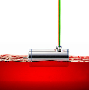 Hygienic Design Zone (process-integrated)